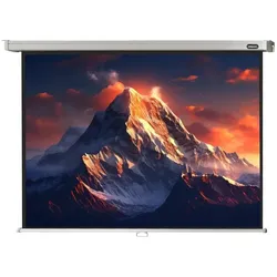 Celexon Rollo Professional, Leinwand, 4:3 (97.48", 4:3), Leinwand, Weiss