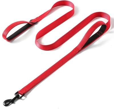 Uplifted Finds Dual Control Heavy Duty Pro Trainer Leash red 2.5 X 180 Cm