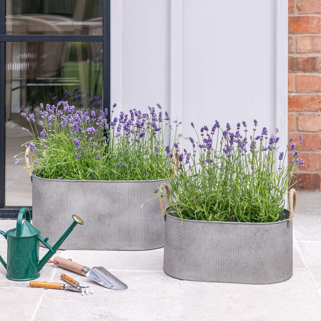 Ivyline Outdoor Galvanised Rope Handle Trough Set of Two Silver 24cm H X 52cm W X 11.81cm D
