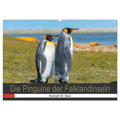 Die Pinguine der Falklandinseln (Wandkalender 2026 DIN A2 quer), CALVENDO Monatskalender