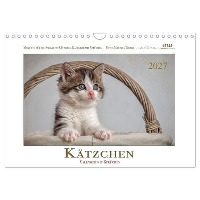Kätzchen-Kalender mit Sprüchen (Wandkalender 2027 DIN A4 quer), CALVENDO Monatskalender