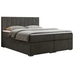 BOXBETT LOPE 180/200 - Dunkelgrau Velvet - H4