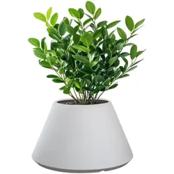 Stromboli Weiße runde konische Vase aus Kunstharz für Zimmer- und Gartenpflanzen, Durchmesser 60 x 35 cm