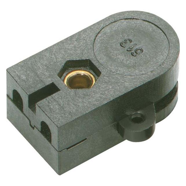 Bachmann 924.152 Elektroschalter Pull chain switch 1P Schwarz (924.152)