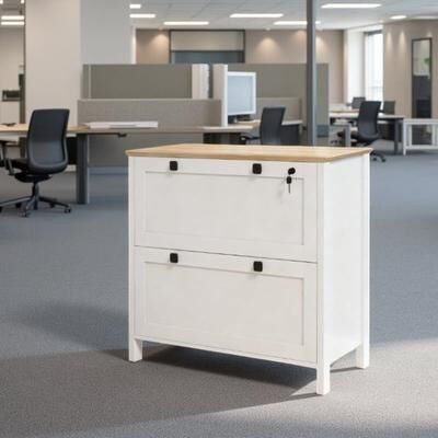 VIVIADORE 2 Drawer Lateral File Cabinet with Lockable Storage,Adjustable Hanging Bar Filing Cabinet for Letter A4 & Legal Folders