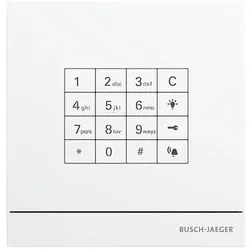 Busch-Jaeger Zutrittskontrolle außen 83100/71-664