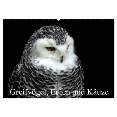 Greifvögel, Eulen und Käuze (Wandkalender 2027 DIN A2 quer), CALVENDO Monatskalender