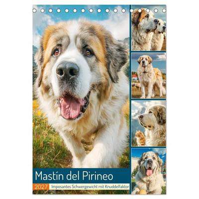 Mastín del Pirineo. Imposantes Schwergewicht mit Knuddelfaktor (Tischkalender 2027 DIN A5 hoch), CALVENDO Monatskalender
