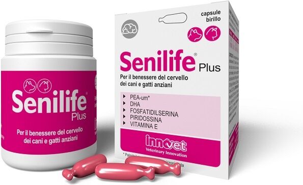Innovet Senilife Plus 60 Capsule