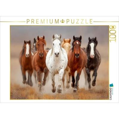 CALVENDO Puzzle Wild lebende Mustangs im Galopp | 1000 Teile Lege-Größe 64x48cm Foto-Puzzle für glückliche Stunden