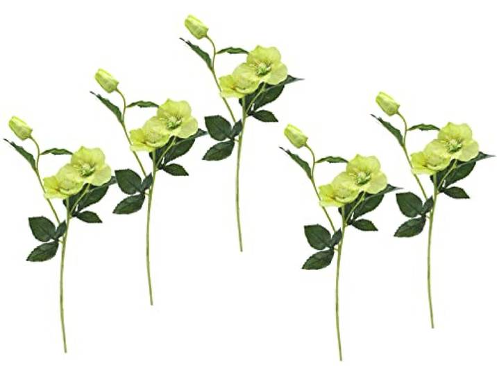 Flair Flower Helleborus Kersttak, 5 stuks, kunstbloemen, zijden bloemen, bloemisterijk, enkele tak, enkele tak, enkele stengel, kunststeelbloem, decoratieve bloemen, bloemendecoratie, 021114GN, groen,