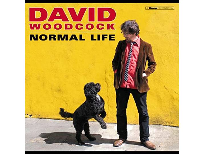 David Woodcock - Normal Life