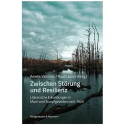 ZwischenStörungundResilienz, Fachbücher von Amelia Valtolina, Raul Calzoni