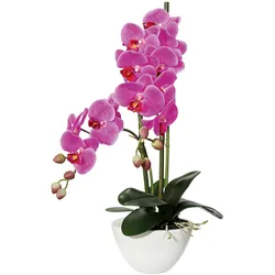 Kunstpflanze Orchideen Pink/Grün