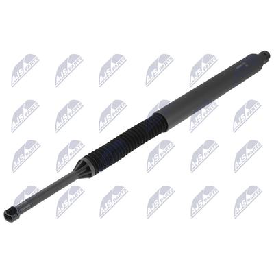NTY Gasfeder, Koffer-/Laderaum AE-BM-170 für BMW