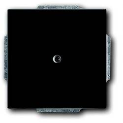 Busch-Jaeger Abdeckung Abdeckung Tiefschwarz (RAL 9005), Schwarz 2CKA001710A3900 1 St.