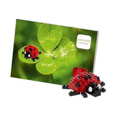BRIXIES 220019 - Postkarte Marienkäfer, 3D Konstruktionsbausatz aus Ministeinen, 49 Teile