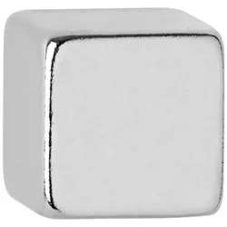 Maul, Magnet, 10 Magnete silber 1,0 x 1,0 x 1,0 cm (10x)