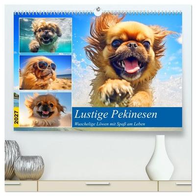 Lustige Pekinesen. Wuschelige Löwen mit Spaß am Leben (hochwertiger Premium Wandkalender 2027 DIN A2 quer), Kunstdruck in Hochglanz