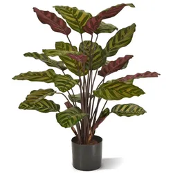 Designplants Red Calathea Makoyana Kunstpflanze (h: 60 cm)