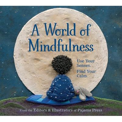 A World of Mindfulness, Gebundene Ausgabe von Erin Alladin, Ingram Publishers Services, 978-1-77278-138-0