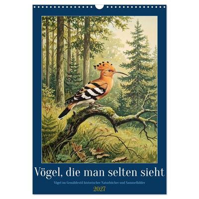 Vögel, die man selten sieht (Wandkalender 2027 DIN A3 hoch), CALVENDO Monatskalender