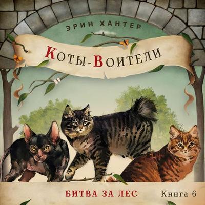 Битва за лес - Erin Hunter, Audio, 9789180132909
