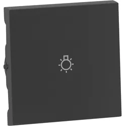 Legrand 765413 SEANO Wippe mit Symbol Licht in der Farbausführung Anthrazit lackiert