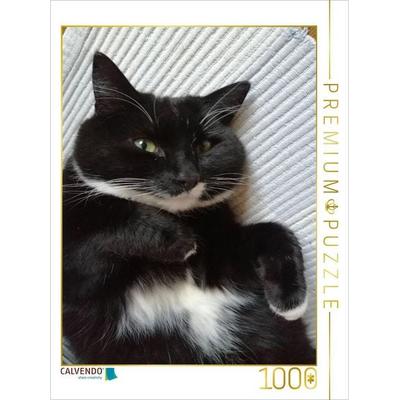 CALVENDO Puzzle Kater, dick und zufrieden | 1000 Teile Lege-Größe 64x48cm Foto-Puzzle für glückliche Stunden