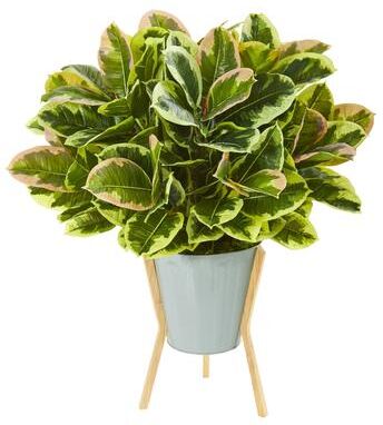 Nearly Natrual "28"" Rubber Leaf Artificial Plant in Green Planter with Stand (Real Touch)"