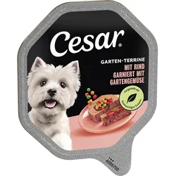 Cesar Garten-Terrine Rind & Gemüse 14x1 kg