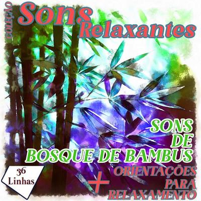 Coleção Sons Relaxantes - sons de bosque de bambus - Silvia Strufaldi, Audio, 9798868693144