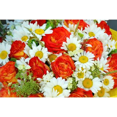 Fototapete PAPERMOON "BLUMEN-STRAUß-ROSEN GÄNSEBLÜMCHEN PFLANZEN ORCHIDEEN", bunt, B:3m L:2,23m, Vlies, Tapeten