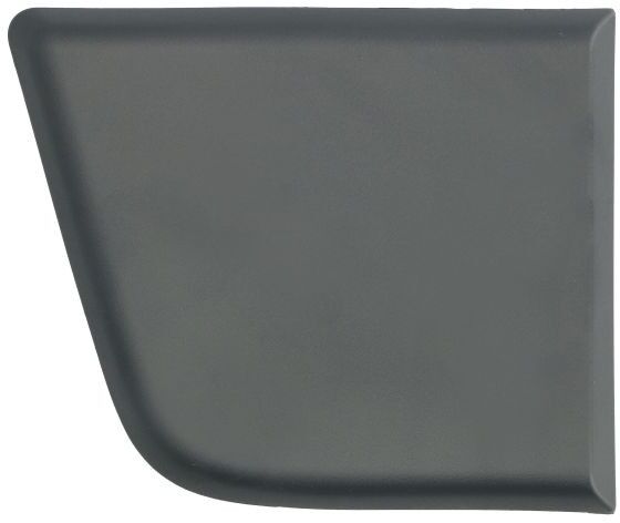BLIC 5703-06-2097572P Side moulding