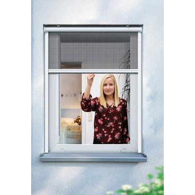 Insektenschutzrollo SCHELLENBERG "für Fenster, Fiberglas Fliegengitter mit Aluminium Rahmen", weiß, B:160cm H:160cm, Fiberglas, Rollos, in verschiedenen Farben und Größen erhältlich