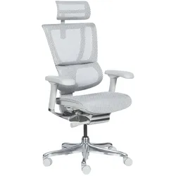 Ergohuman IOO ELITE 2 Ergonomischer Bürostuhl – Grau