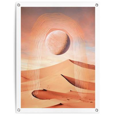 Poster REINDERS "Wüste", braun (farbe bild(er): braun), B:60cm H:80cm T:0,1cm, Leinwand, Bilder, Poster, Outdoor für Garten oder Balkon