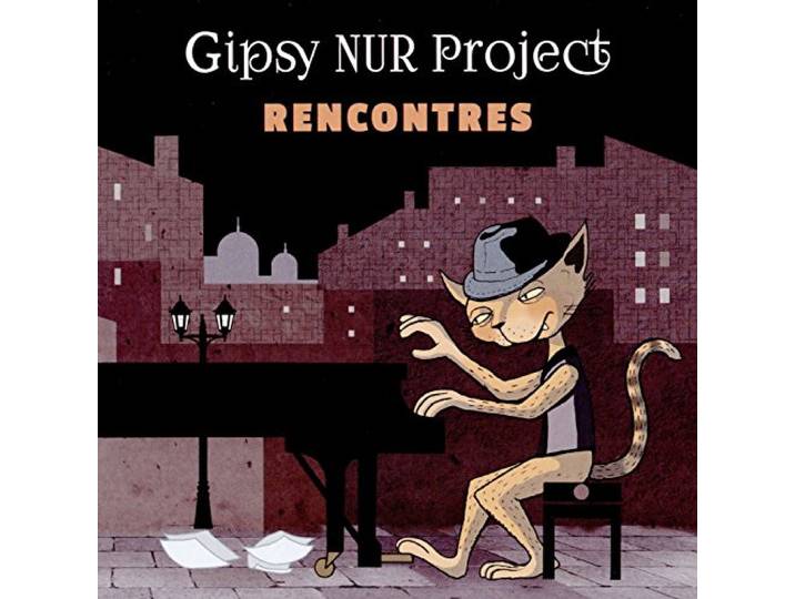 Gypsy Guitar Masters - Integrale Romane Vol. 11