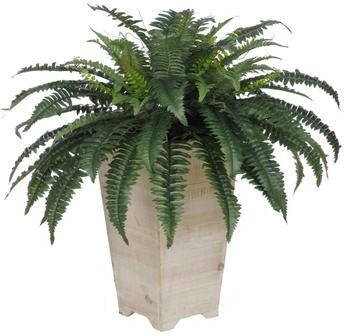 House of Silk Flowers Faux Fern in Tall Washed-Wood Planter
