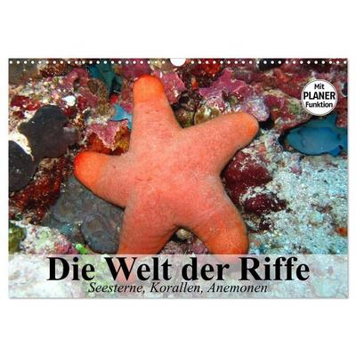 Die Welt der Riffe. Seesterne, Korallen, Anemonen (Wandkalender 2027 DIN A3 quer), CALVENDO Monatskalender