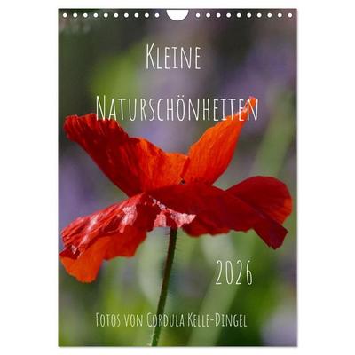 Kleine Naturschönheiten (Wandkalender 2026 DIN A4 hoch), CALVENDO Monatskalender