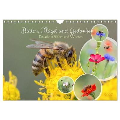Blüten,Flügel und Gedanken – Ein Jahr in Bildern und Worten (Wandkalender 2027 DIN A4 quer), CALVENDO Monatskalender