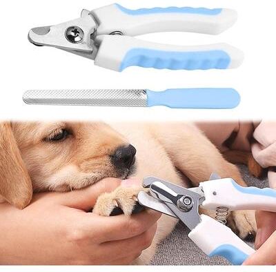 Happy Pet Pantry Professional Dog Nail Clippers With Safety Guard & Nail File For Dogs And Cats Professional Dog Nail Clippers With Safety Guard & Nail File For Dogs And Cats