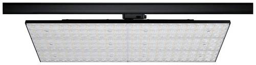 Paulmann LED-Schienenstrahler ProRail3 75W LED Schwarz