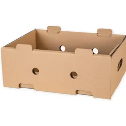 Kartonbox für Obst und Gemüse