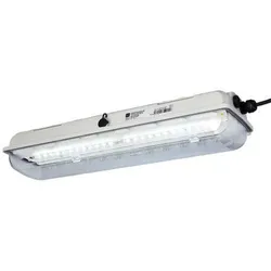 Stahl Ex-LED-Langfeldleuchte 6002/4128-010#267058