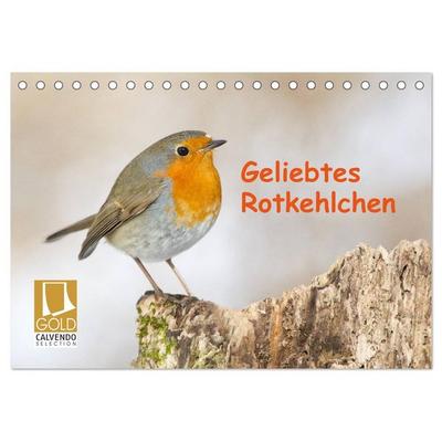 Geliebtes Rotkehlchen (Tischkalender 2026 DIN A5 quer), CALVENDO Monatskalender