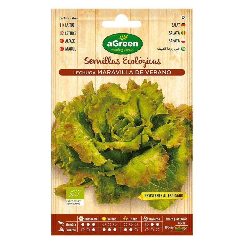 Agreen Envelope of eco seeds salad maravilla (Gemüsesamen) (49442471)