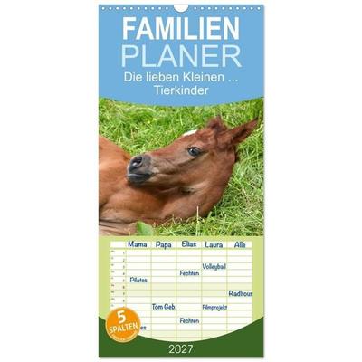 Familienplaner 2027 - Die lieben Kleinen... Tierkinder einfach zum Knuddeln mit 5 Spalten (Wandkalender, 21 x 45 cm) CALVENDO