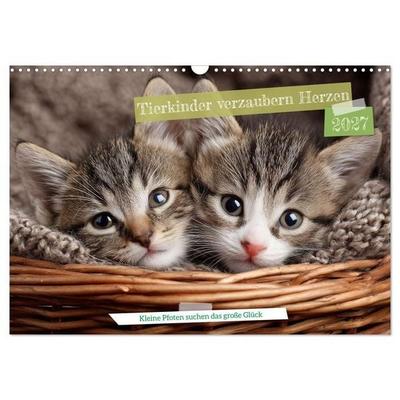 Tierkinder verzaubern Herzen (Wandkalender 2027 DIN A3 quer), CALVENDO Monatskalender
